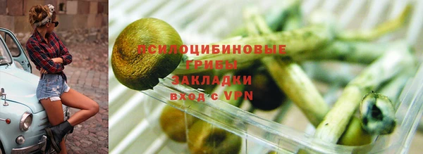 мдпв Алзамай