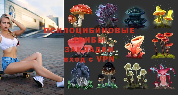 мдпв Алзамай